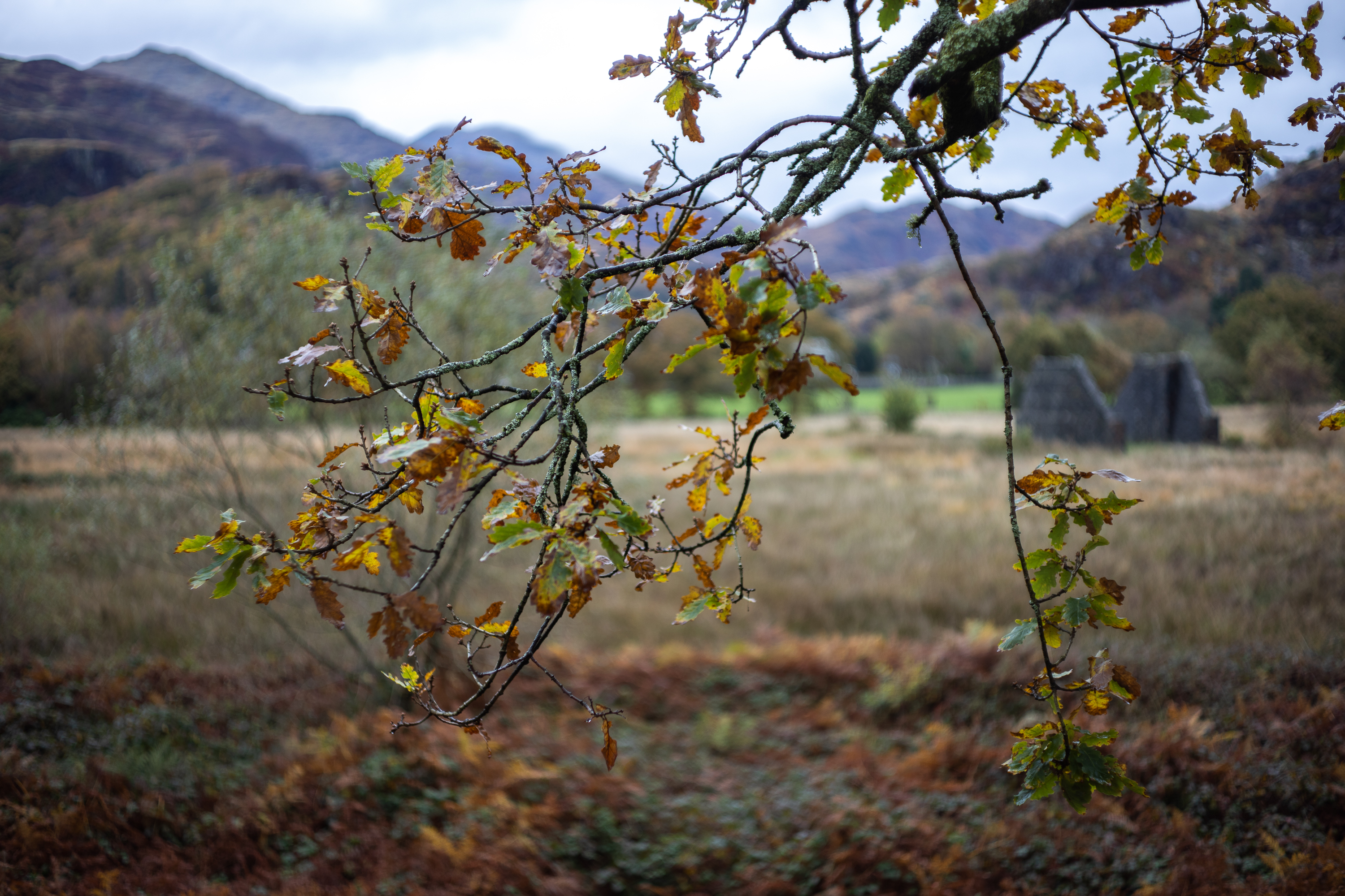 On a trip to Wales