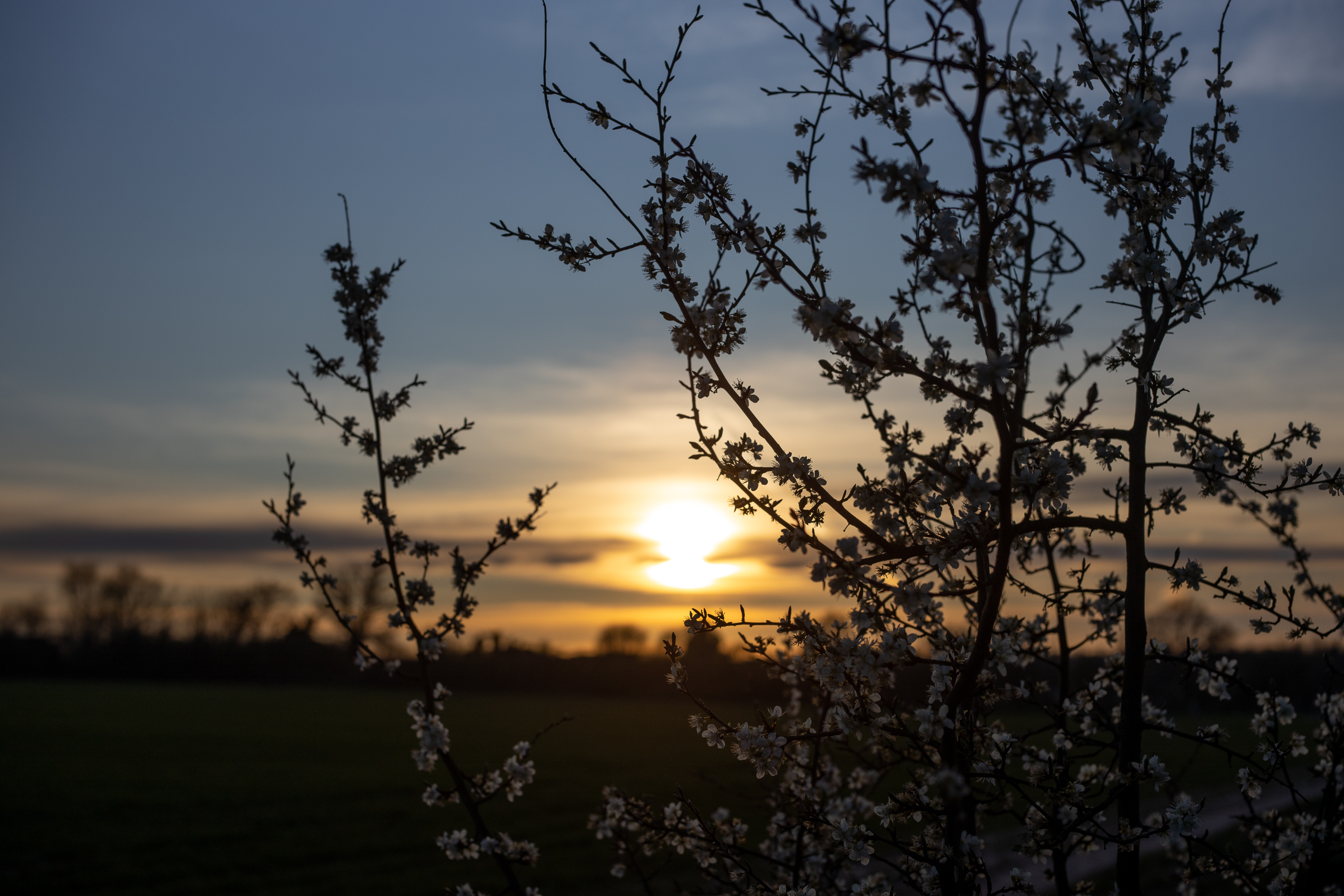 Sunset - Voigtländer Septon 50mm f2