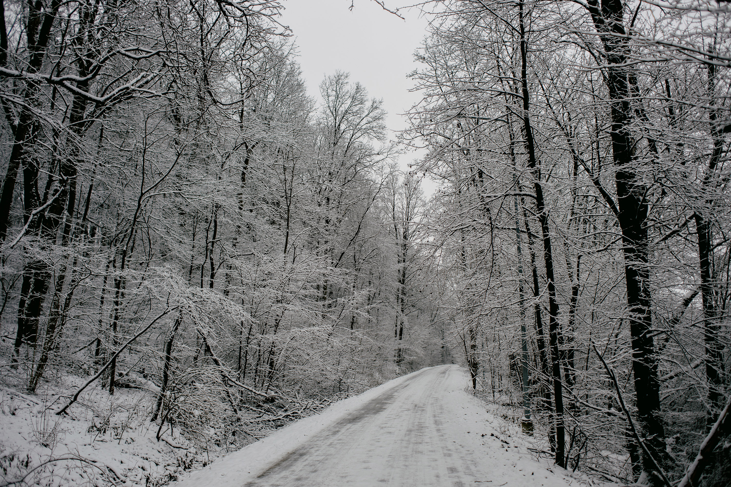 Iced over road in winter