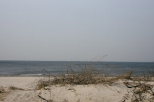 Palanga beach, Lithuania. Shot with Contarex 50mm f2