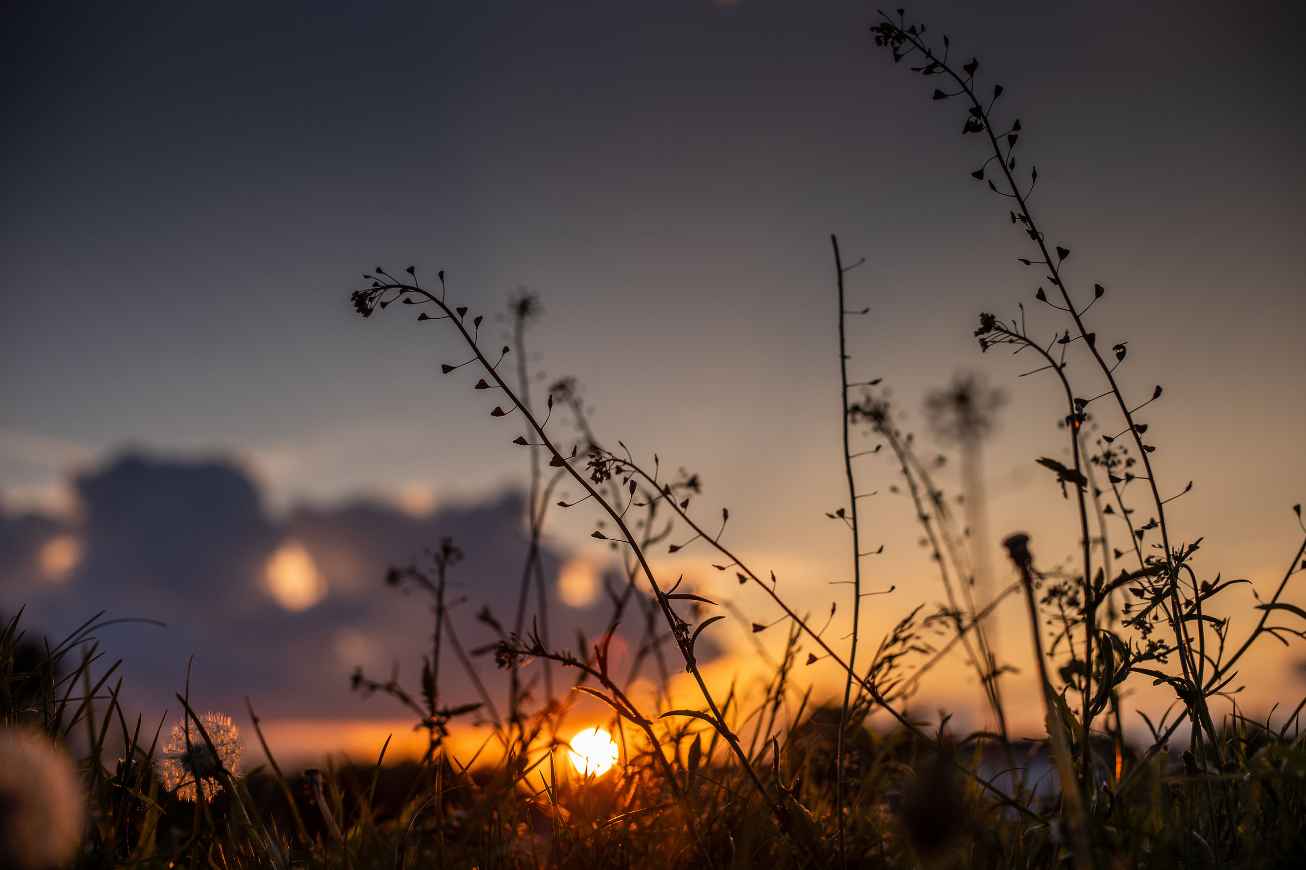 Evening scene. Not too many flares, but the sun was not too bright, as it was setting.