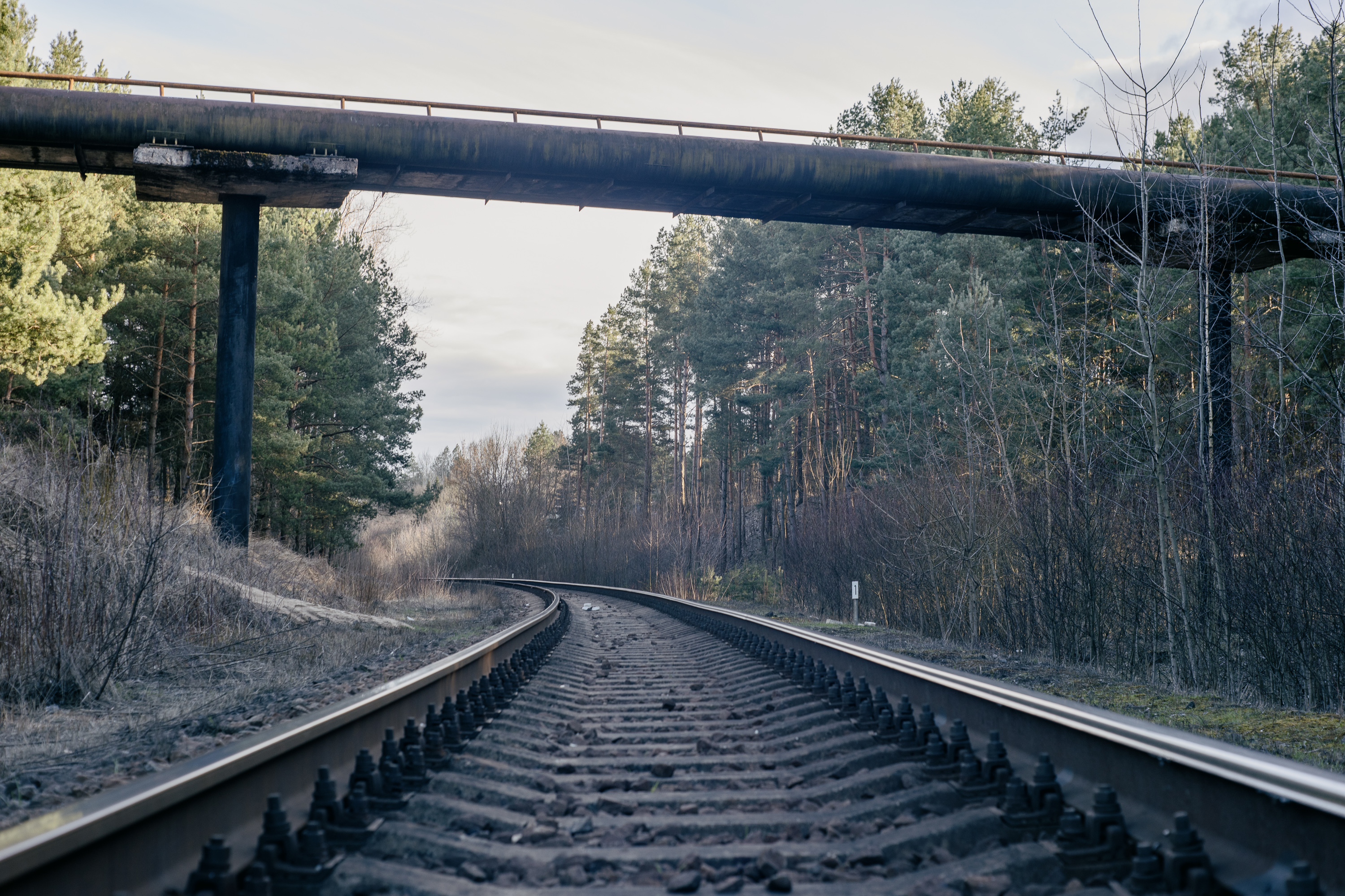 Train tracks with the Voigtlander Nokton 50mm f1.5